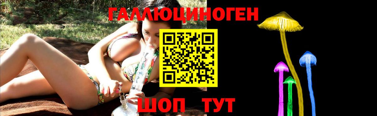 Кимовск  Галлюциногенные грибы Psilocybe  Галлюциногенные грибы GOLDEN TEACHER  Вход с VPN 